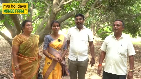 Successful Mango Farmland Investment with M/S Holidays Mango Farms Chennai - Client Testimonial