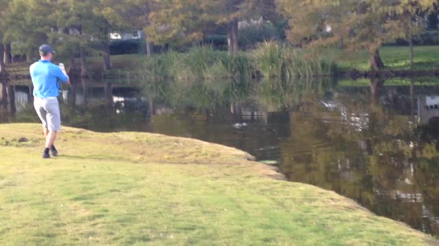 Myrtle Beach Golf Crocodile