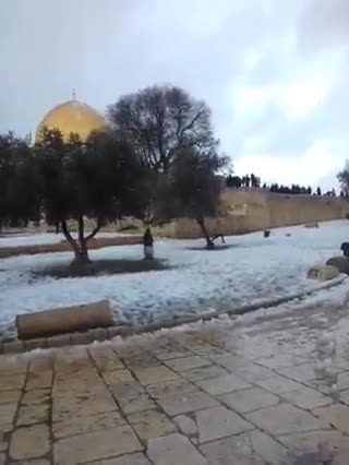 Muslims Throwing Snowballs at Jews on Temple Mount - Jews Angle