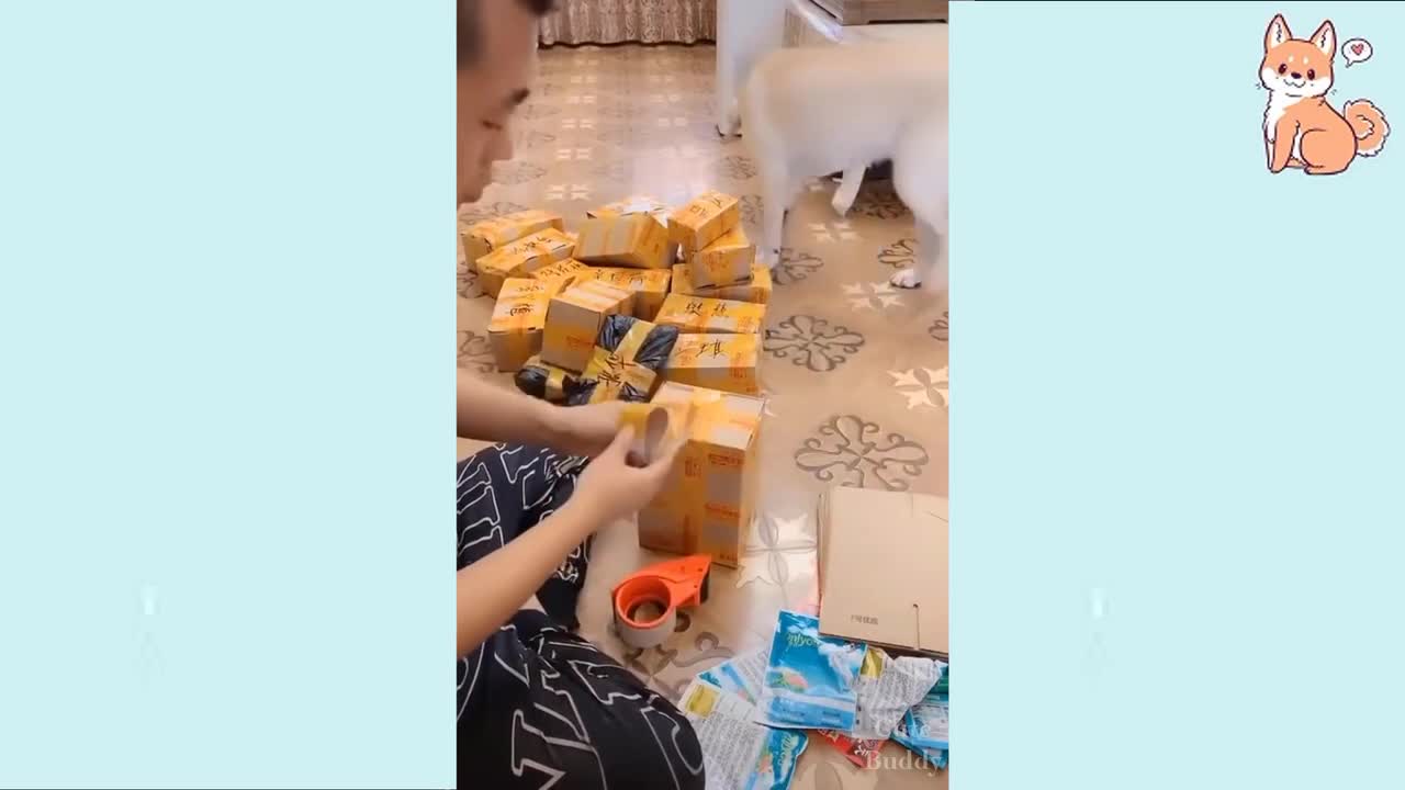 Very funny videos of puppies🐶❤️ and hilarious scene😂 compilation