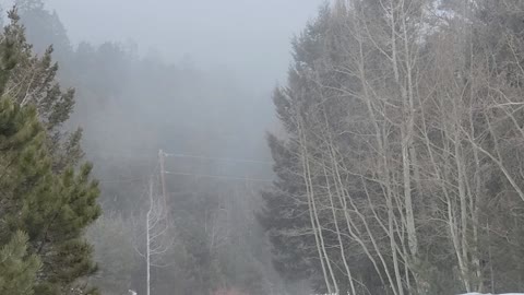 Conifer Mountain Clouds