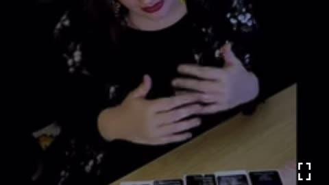 The penguin the black widow n the cute doggie