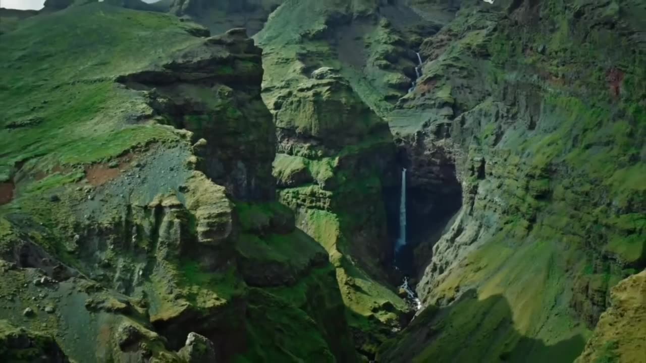 free nature video#