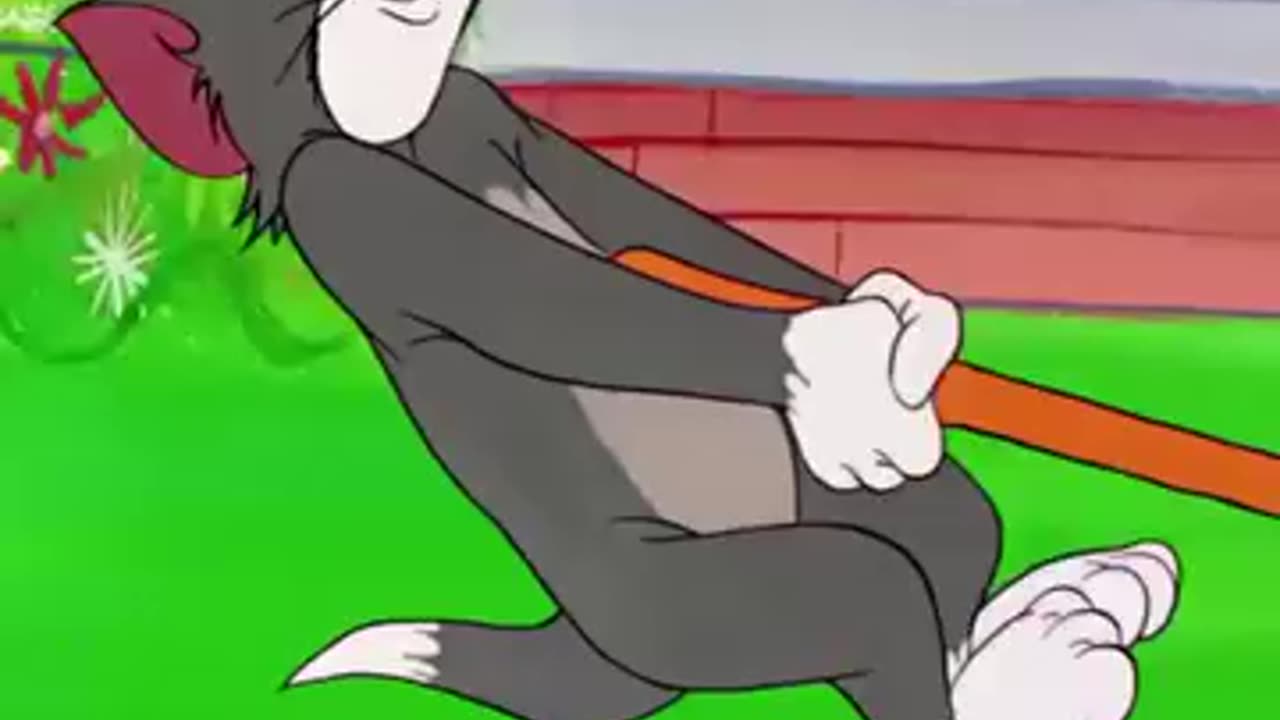 TOM AND JERRY LIVE FIGHTING