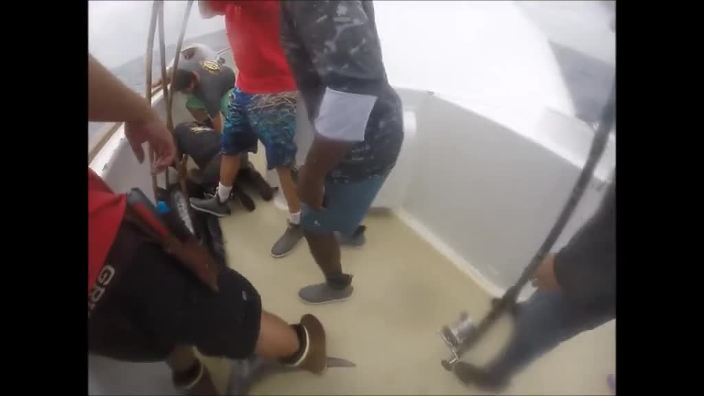 Tomahawk Overnight fishing trip! Striped Marlin fishing!