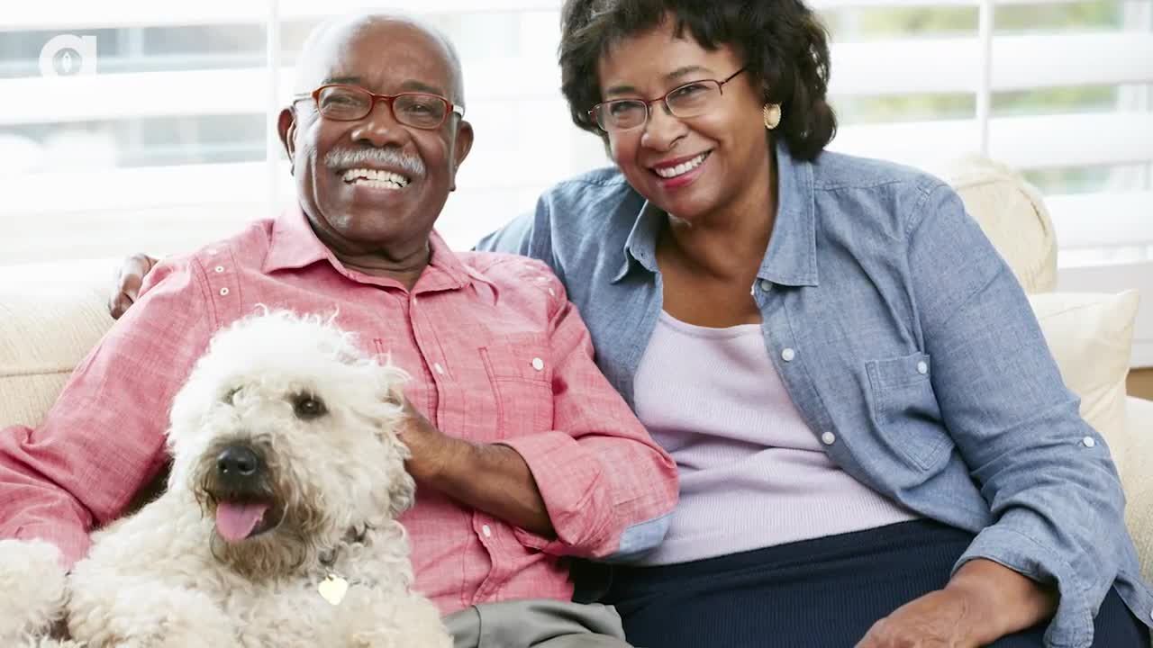 There's a Retirement Home for Pets in Japan