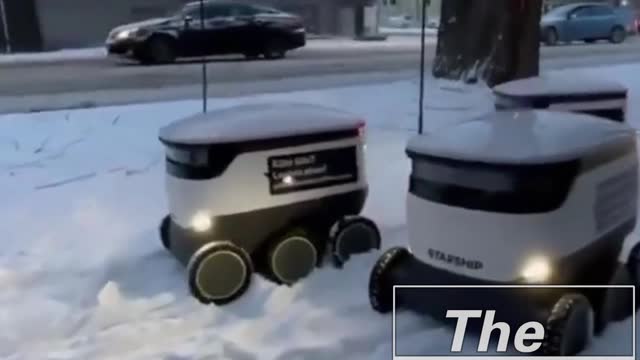 Estonian Delivery Robots Stuck In Snow