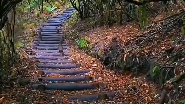 A time to keep silence