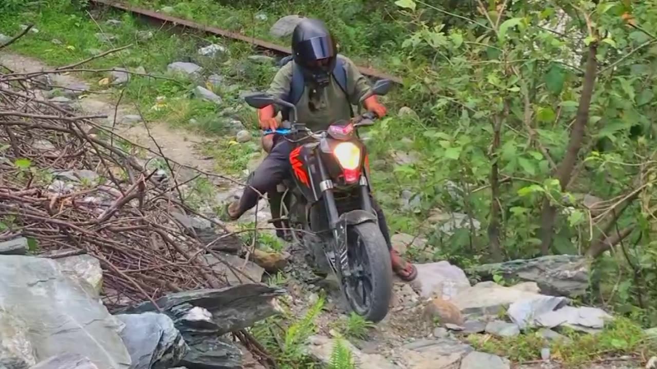 Baisari myagdi