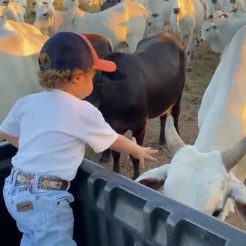 I sprout since I was little