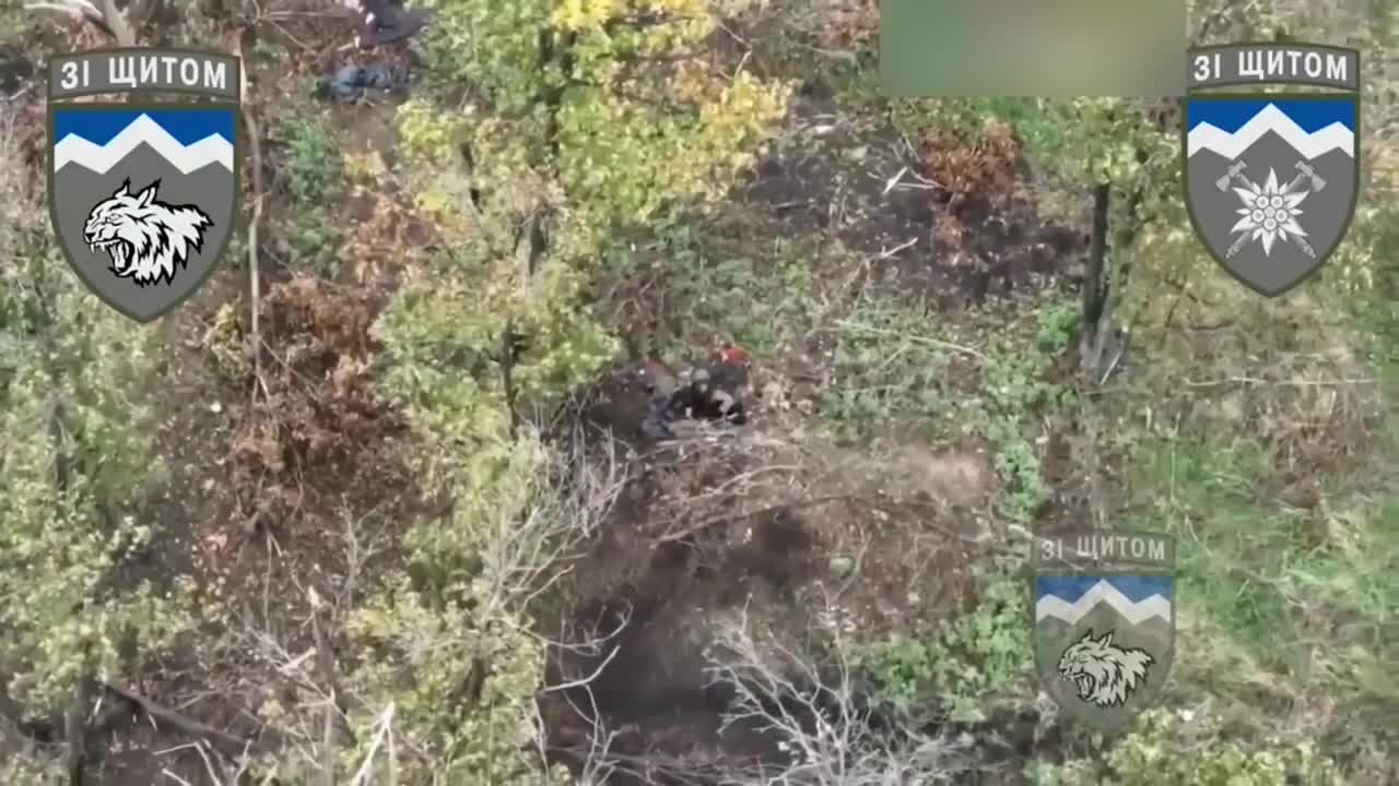 +18 Disturbing Video showing dead and wounded