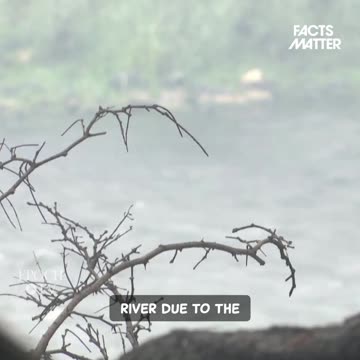 ‘Green Policies’ Are Making it Harder to Fight Wildfires