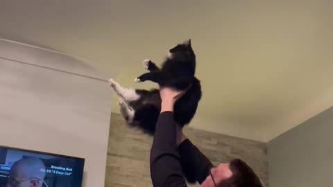 Boyfriend and Cat Working Together to Catch a Moth Fail