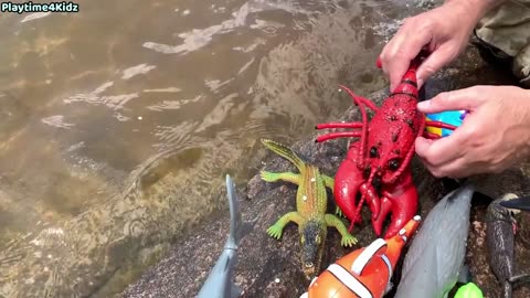 Animal Toys This Summer at the Shore