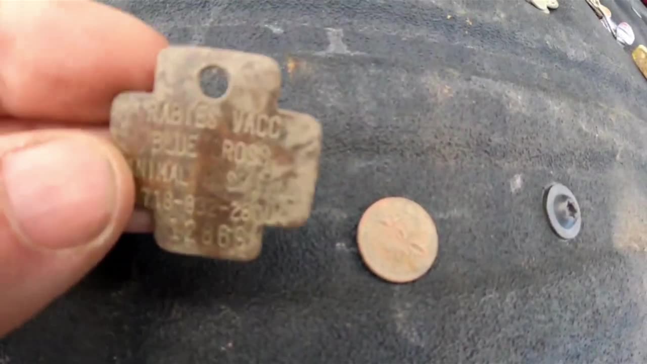 Park Metal Detecting at the Gold Ring Park - Video 3 of 3