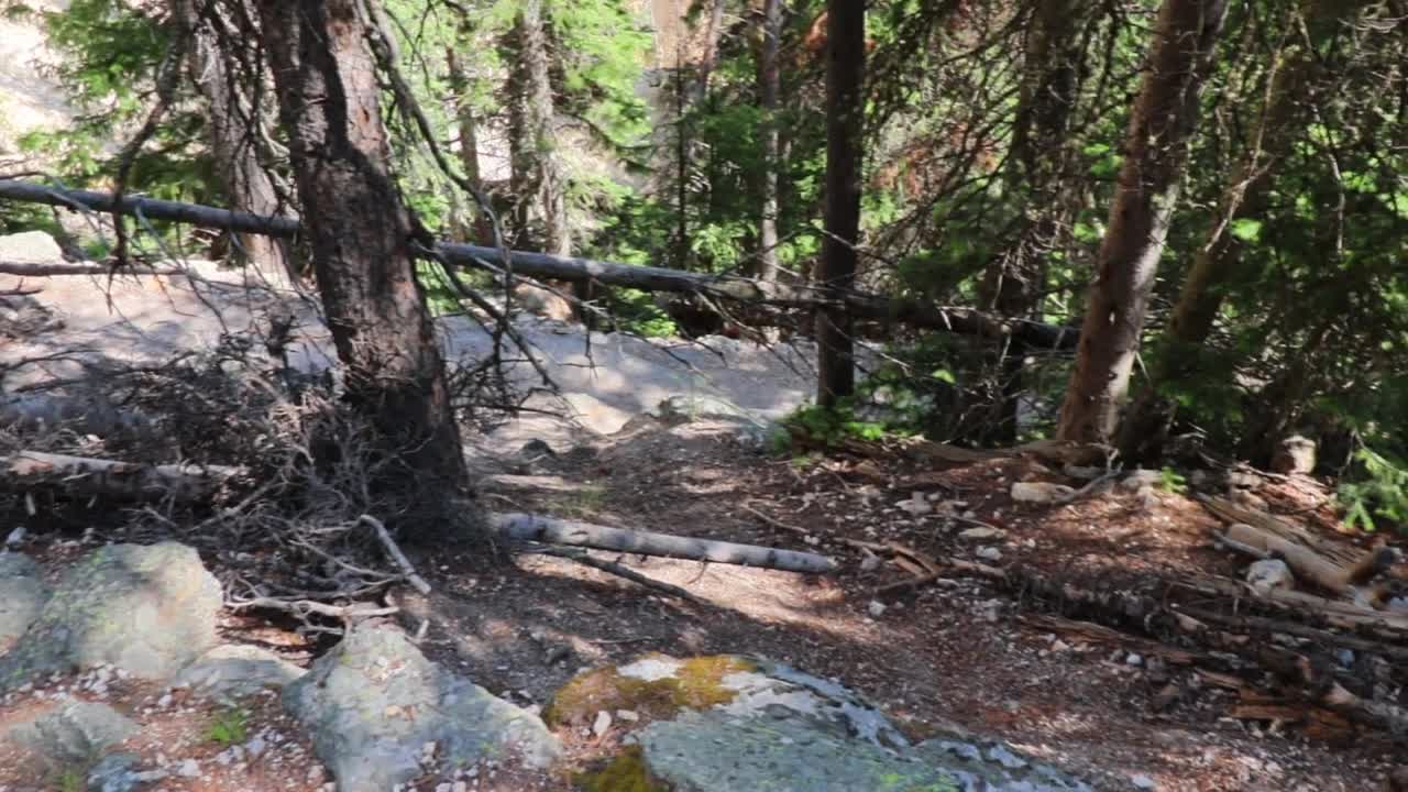 Red Rock Point Trail and Lookout Point | Yellowstone National Park