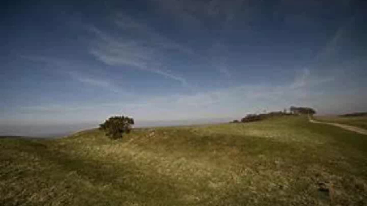 Chanctonbury Ring