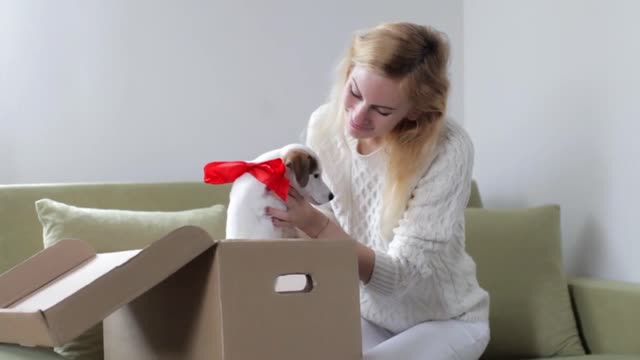 girl with a gift puppy with a red bow in the box