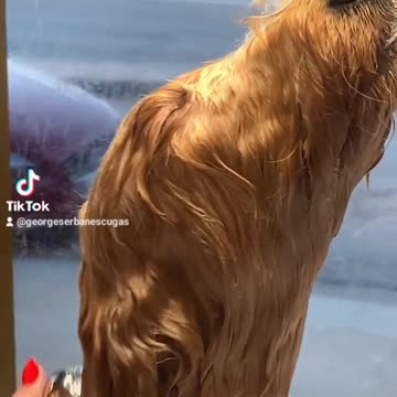 Enjoying the bath🤝