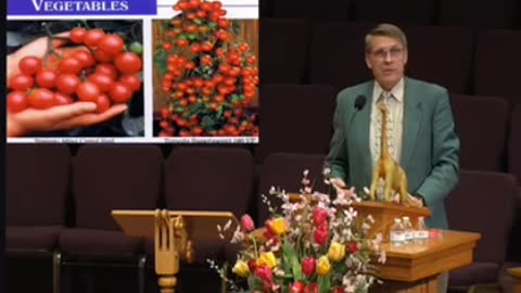 Kvnt Hovind's Dino Tomato's