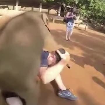 he is happy with his master 2