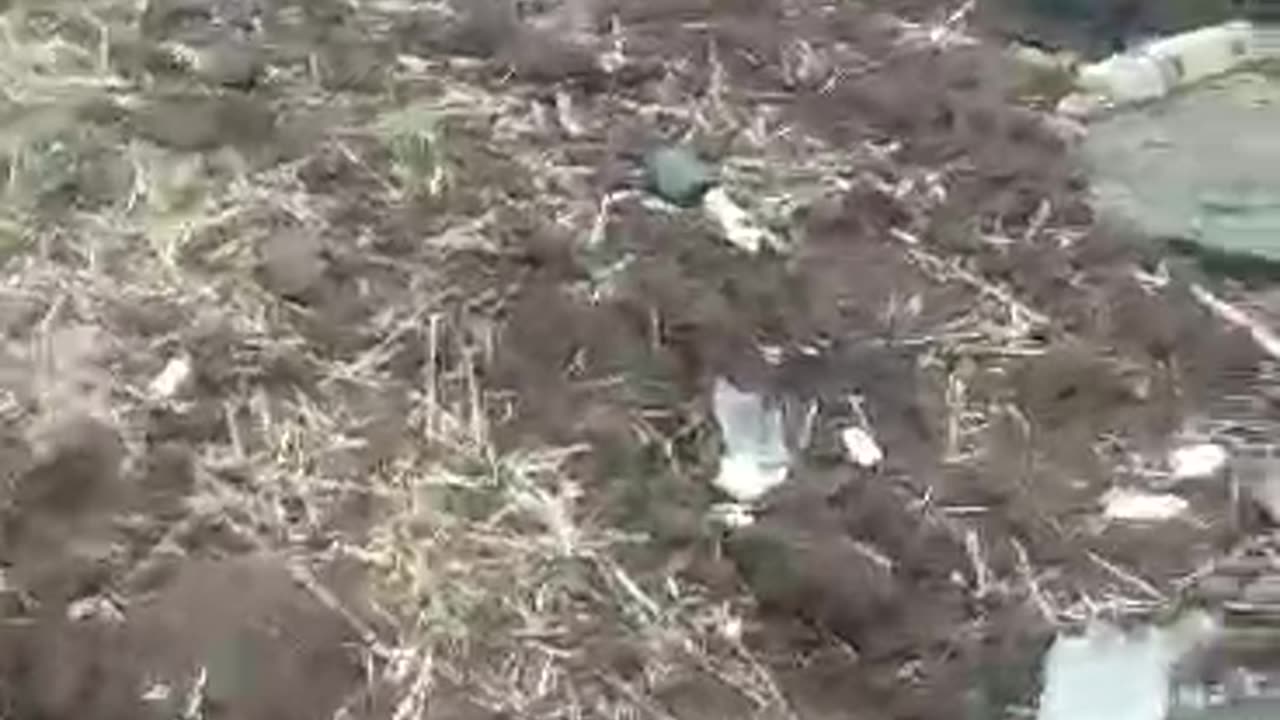 Russian servicemen are at the site of the same column with several M2 Bradley and Leopard 2A6