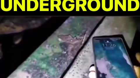 DEAD CHILDREN FOUND UNDERGROUND
