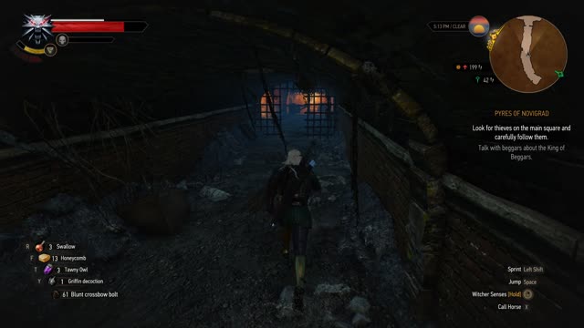 Witcher 3 - Pyres of Novigrad How to get to Putrid Grove