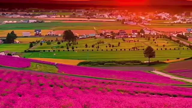 Amazing Sunset