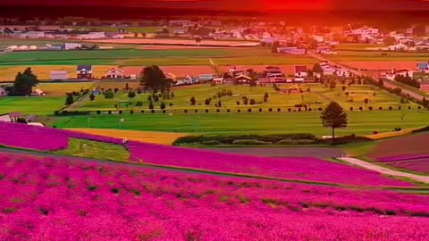 Amazing Sunset