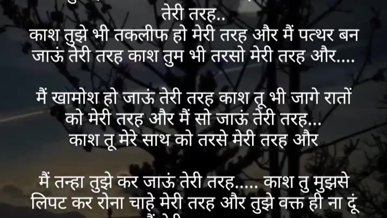 true lines