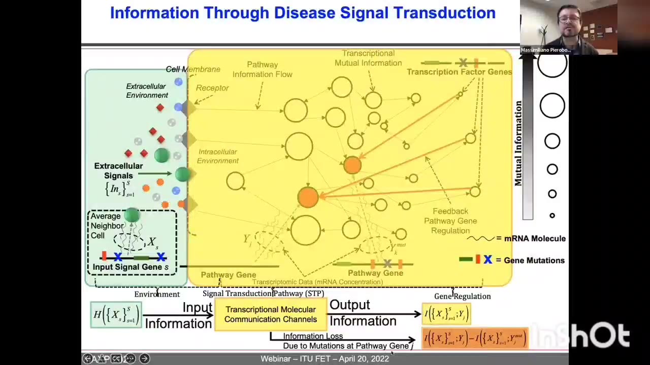 Josh @ World Alternative Media You Have Alot Of Research You Need To Do Into Ian F. Akildiz (ITU J-FET) To Fully Connect The Dots On These CONVID "VACCINES" Aka Bio-Nano-Machines, MC, IoBnT