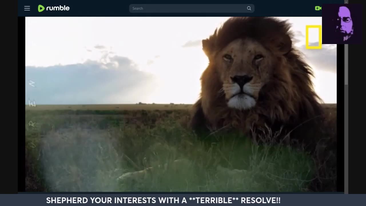 THUNDERDOME!! WRAY ISN'T RUNNING THE FBI? WHO IS?