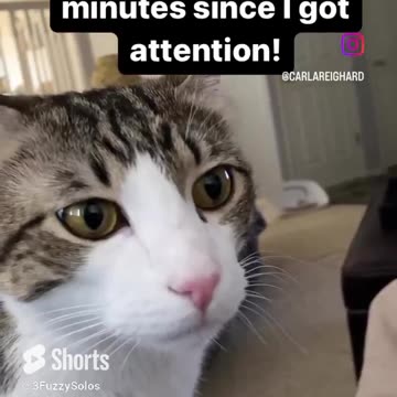 I would like attention please