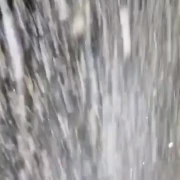 our sticks & bones can fit anywhere comes with no snow