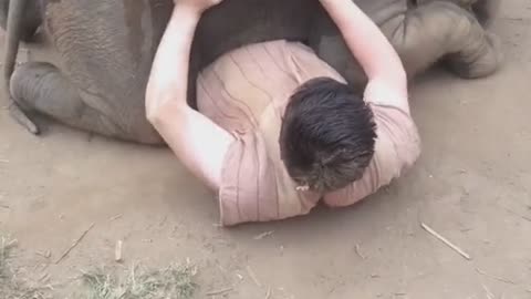 Baby elephant wants to play 😞