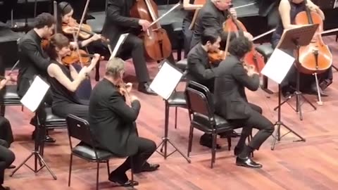 Cat joins orchestra on stage