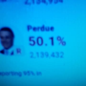 INTERNATIONAL WIDE ELECTION FRAUD VOTING MACHINE CRIME, GEORGIA RUNOFF SHAM ELECTION CRIME 137