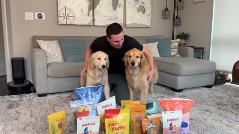 Finding the best dog treat!