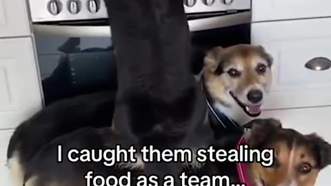 They all look so happy