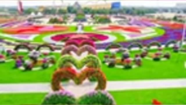 the most beutiful garden