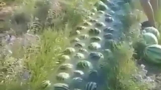 conveyor