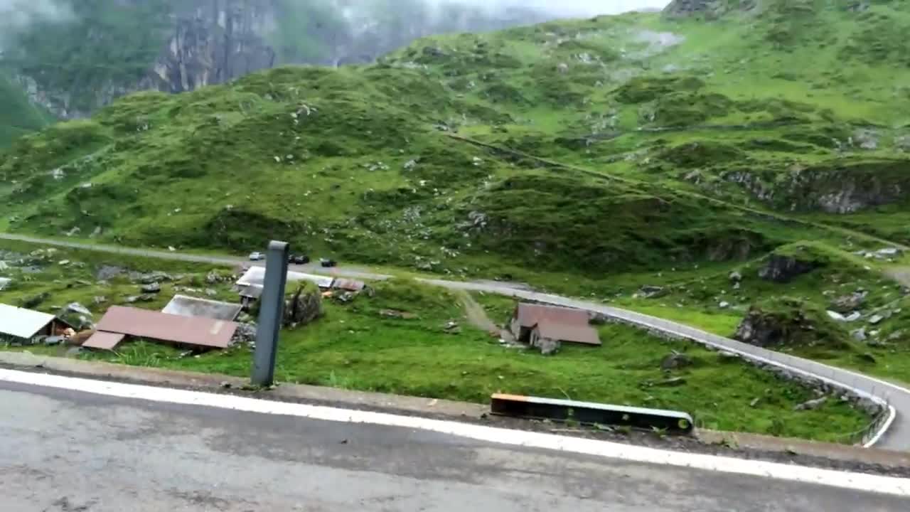 Svizzera. Alpi. Mucche. Ciclista.