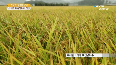 한국의 절경을 담다…첫 UHD 다큐멘터리 '뷰티풀코리아' YTN 사이언스