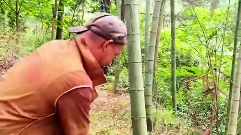 Comedy 😆😆 Video