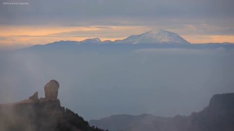 Magnificent Mountains, Forests