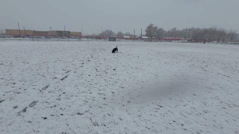 Hood Bully In The Snow