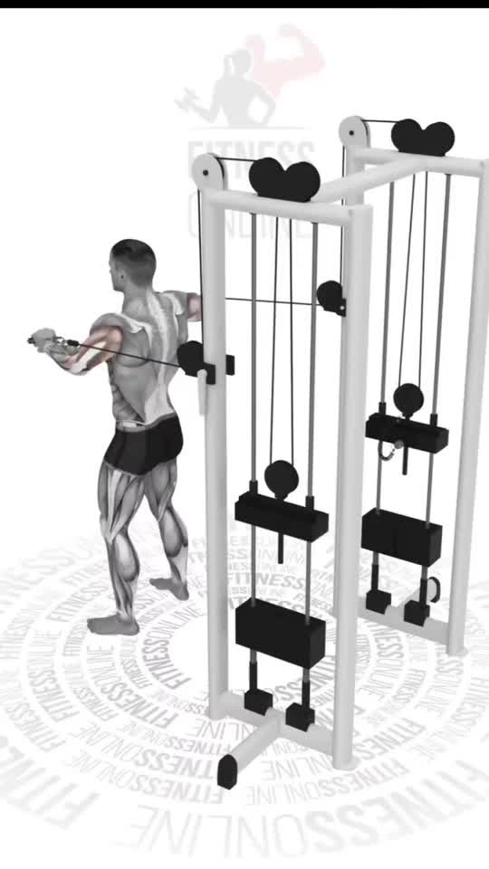 6 Effective Chest Workout Gym Exercises