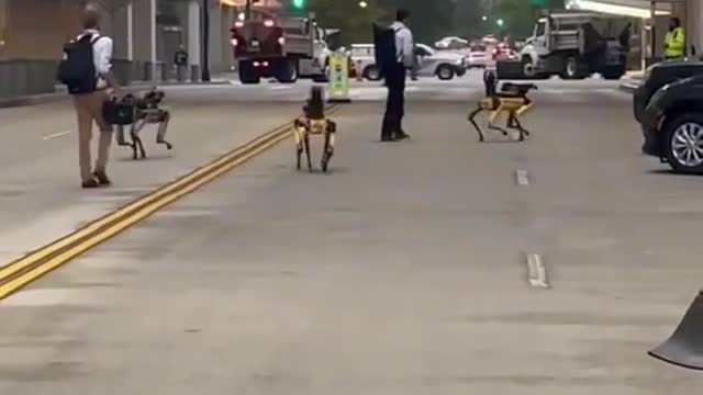 Armed androids spotted in DC