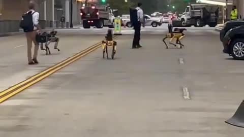 Armed androids spotted in DC
